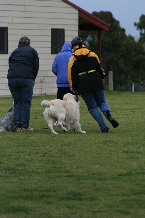 mc 57 Dog Club Fun Day 108